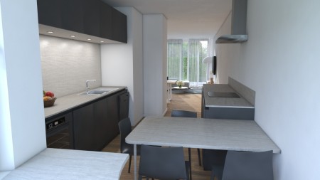 Projet Cavallini-Parmentier